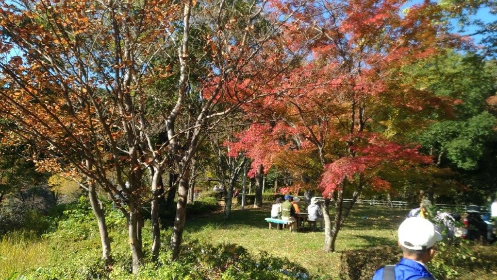 日帰りok 甲府駅から紅葉スポットを7ヵ所巡るモデルコース 山梨ガイド