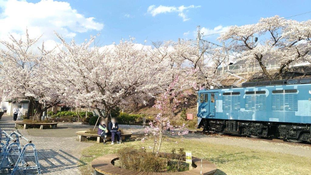 甚六桜公園,