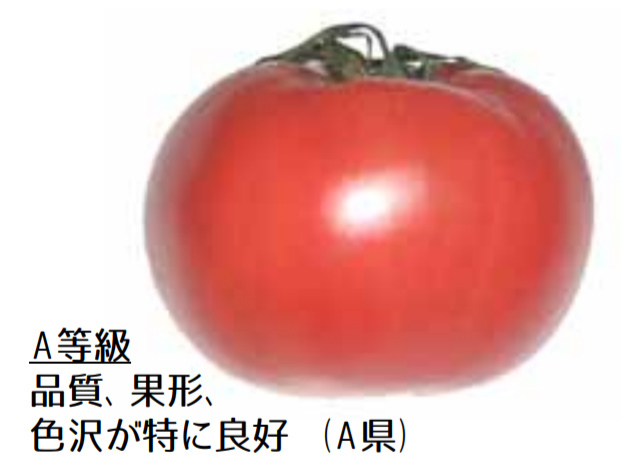 規格外野菜,トマト,